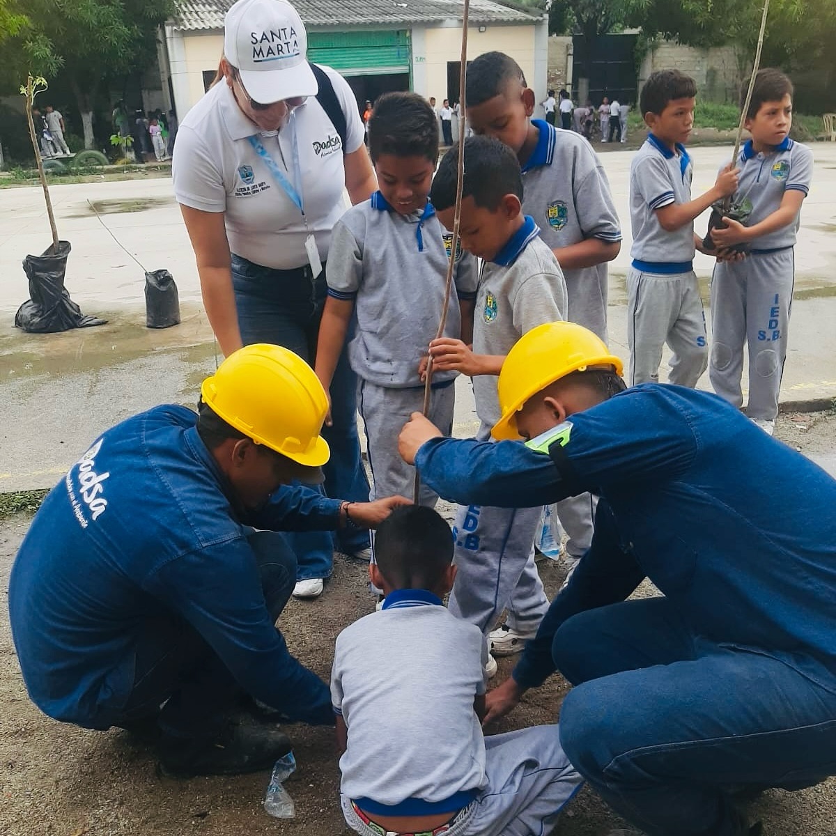 Niños y adultos colaboran en la plantación de un árbol, con dos trabajadores del dadsa con uniforme amarillo y cascos amarillos ayudando a los estudiantes en una actividad educativa al aire libre.